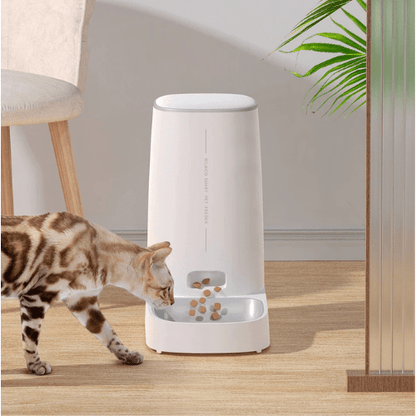 DISTRIBUTEUR CROQUETTE CHAT AUTOMATIQUE | WIFI - Leschamour