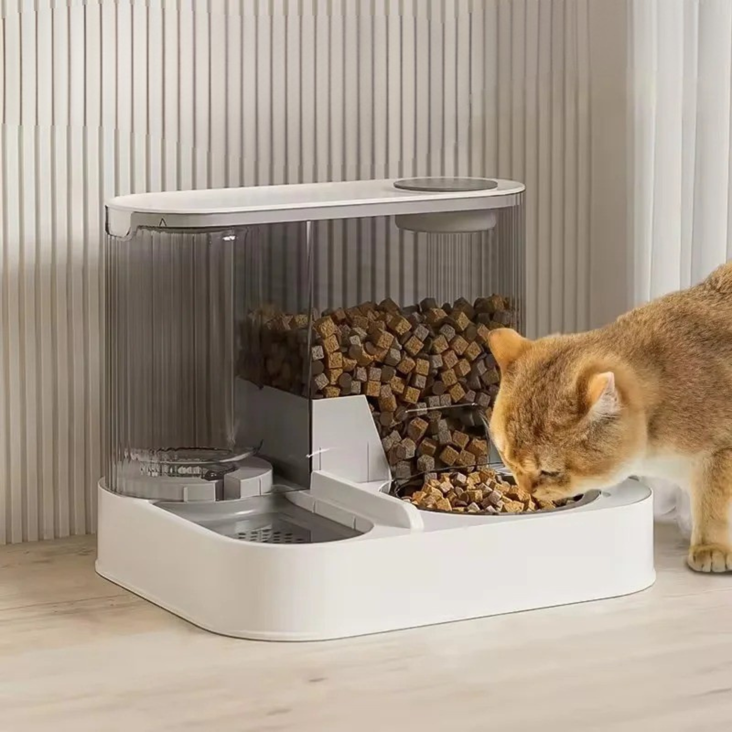 Distributeur croquette eau chat anti-fuite chat qui mange
