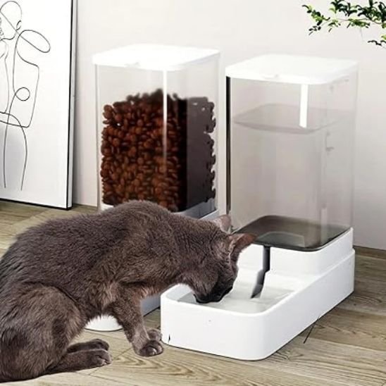 Distributeur croquette et eau chat gravité blanc
