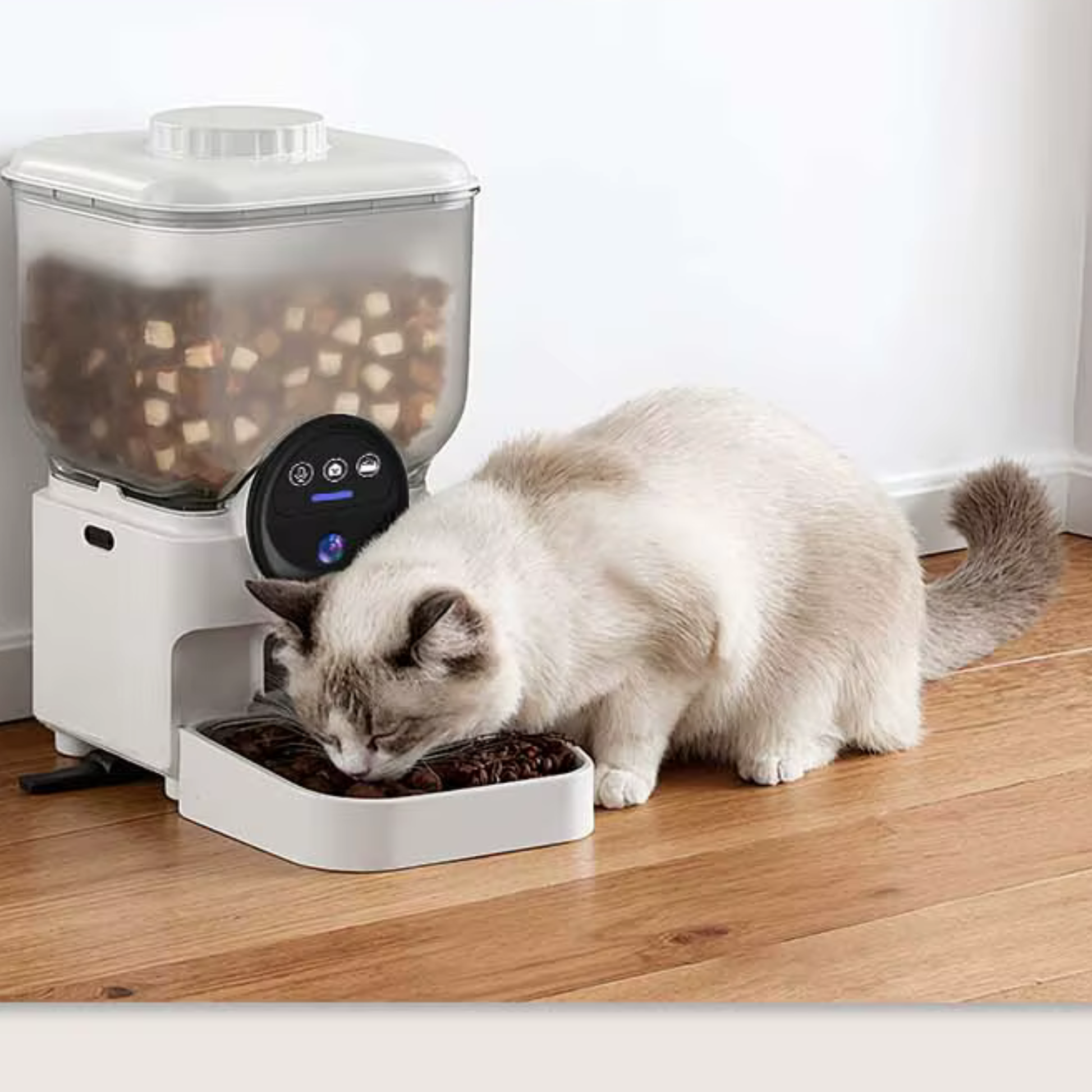 distributeur croquettes chat programmable rechargeable blanc wifi