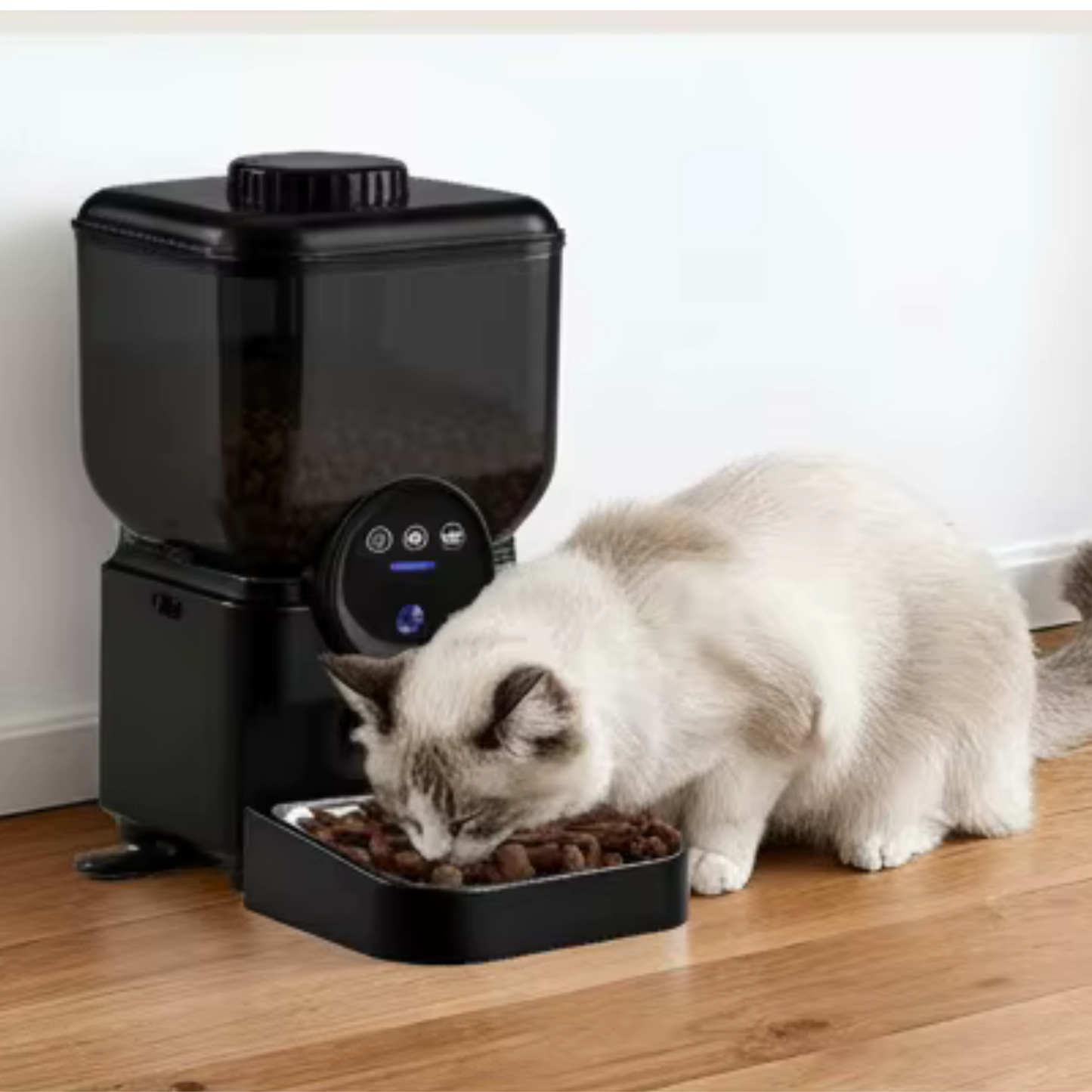 distributeur croquettes chat programmable rechargeable noir wifi