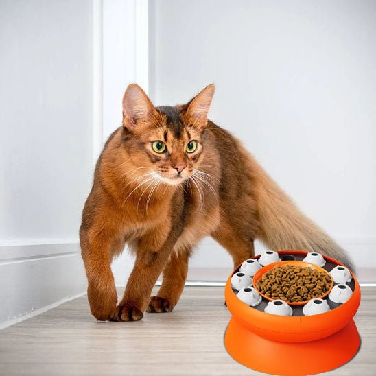 DISTRIBUTEUR CROQUETTES POUR CHAT | ANTI GLOUTON - Leschamour