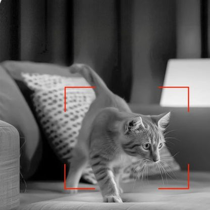 DISTRIBUTEUR DE CROQUETTES AUTOMATIQUE POUR CHAT | AVEC CAMERA - Leschamour