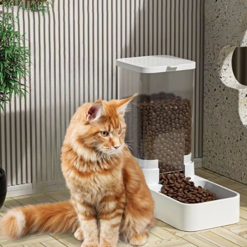 distributeur-de-croquettes-chat-pratique