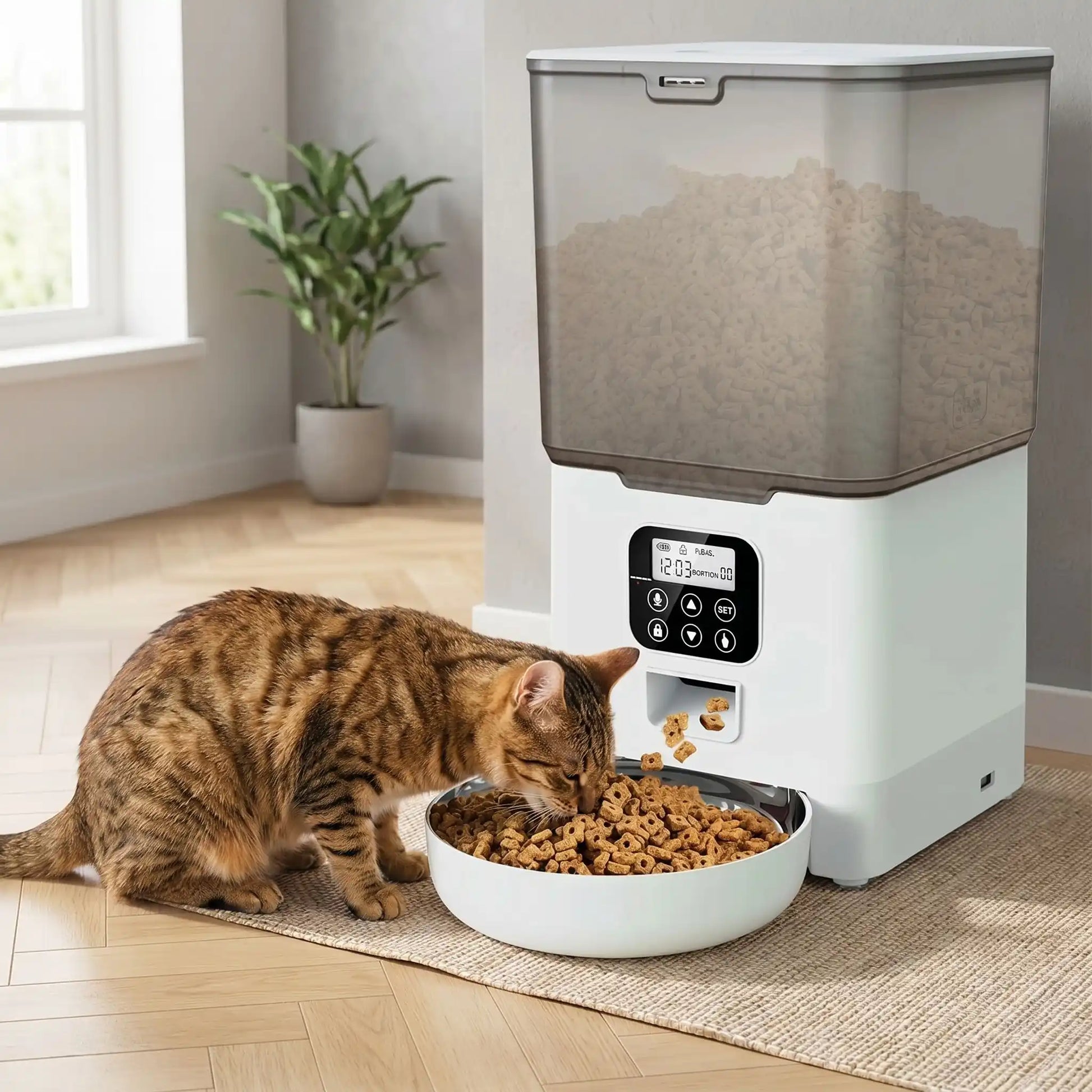 distributeur de croquettes pour chat programmable sans application