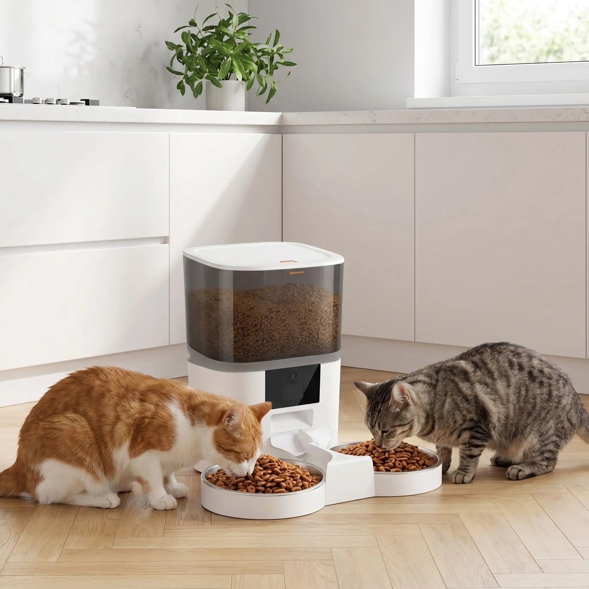 distributeur de croquettes programmable pour chat double gamelle 4L blanc
