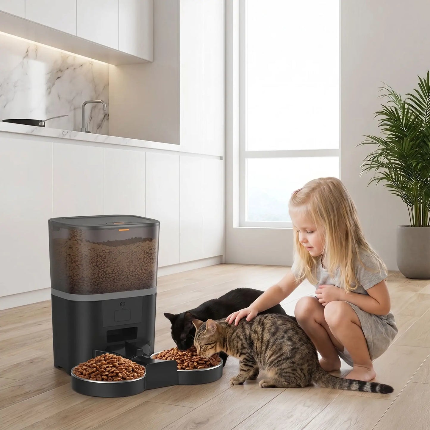 distributeur de croquettes programmable pour chat double gamelle 4L noir
