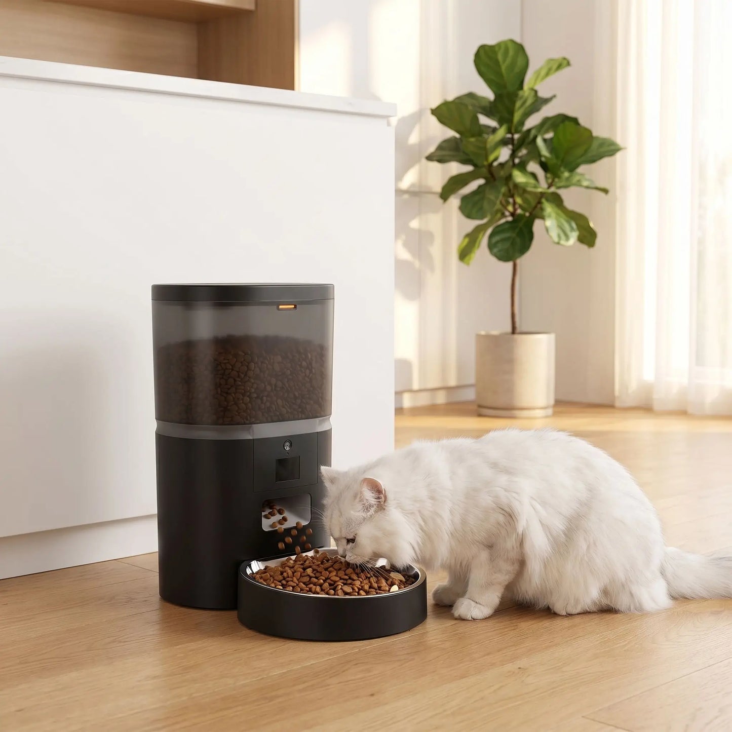 Distributeur de nourriture pour chat automatique wifi 4L antidérapant
