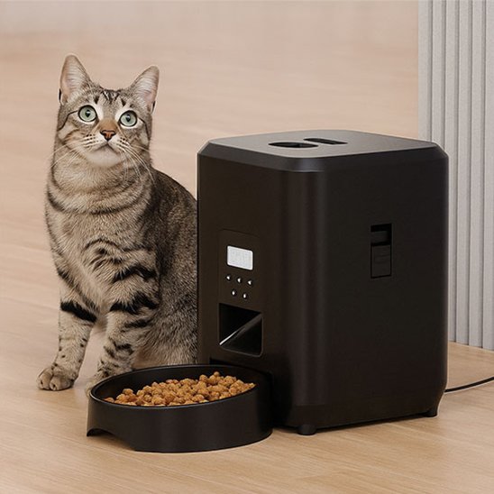 Distributeur nourriture pour chat automatique noir