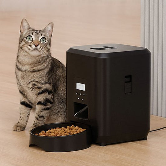 Distributeur nourriture pour chat automatique noir