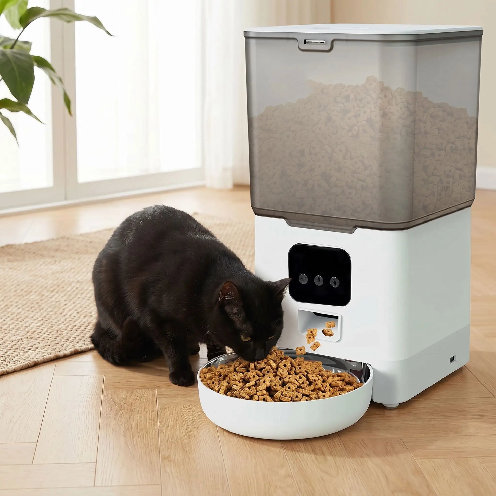 distributeur programmable croquettes chat avec application