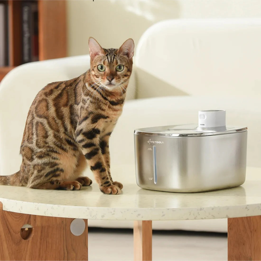 filtre fontaine a eau chat pack de 4 filtration multiple
