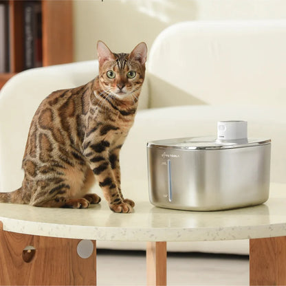 filtre fontaine a eau chat pack de 4 filtration multiple
