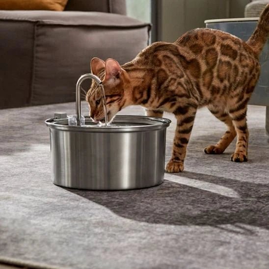 FILTRE FONTAINE A EAU POUR CHAT | POUR FONTAINE EN ACIER INOXYDABLE - Leschamour