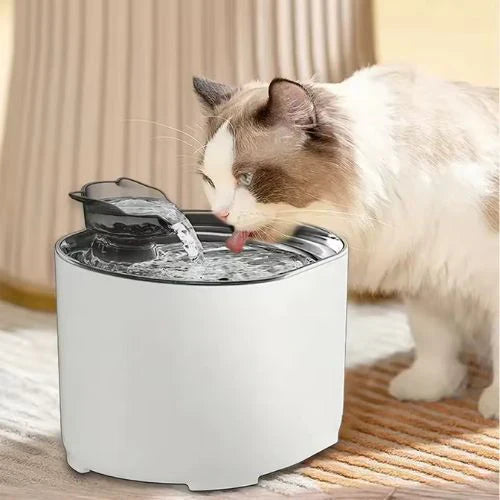 Filtre fontaine a eau pour chat
