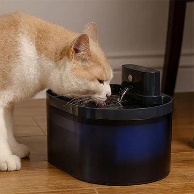 filtre fontaine chat pour fontaine sans fil ovale
