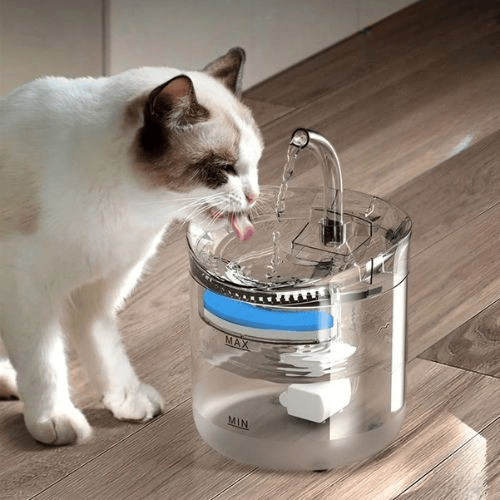 FILTRE FONTAINE EAU CHAT | LOT DE 24 FILTRES - Leschamour
