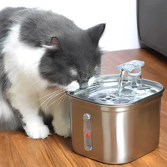 FILTRE POUR FONTAINE À EAU CHAT | LOT DE 12 FILTRES - Leschamour