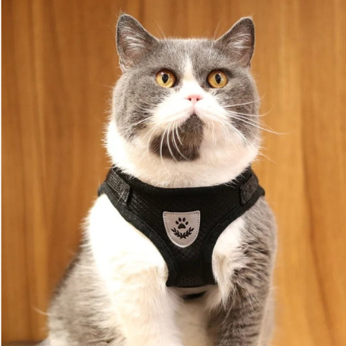 flashcat-harnais-chat-reflechissant-noir