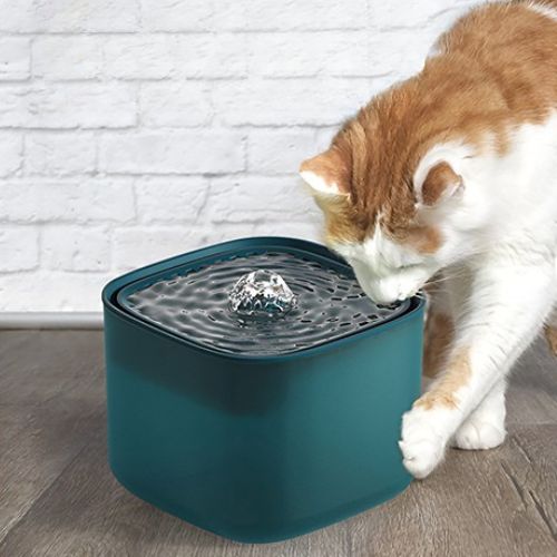 FONTAINE À EAU CHAT | 3 L - Leschamour