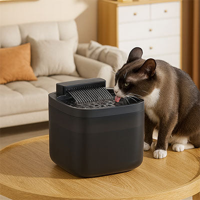 fontaine-a-eau-chat-carree-3L-economique