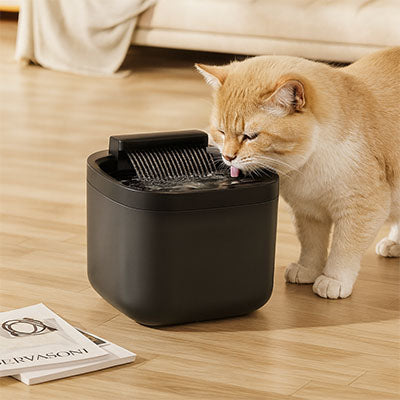 fontaine-a-eau-chat-carree-3L-noire
