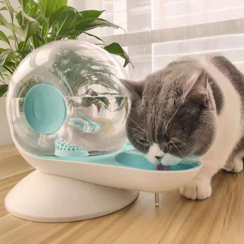 fontaine à eau chat sans fil bleue