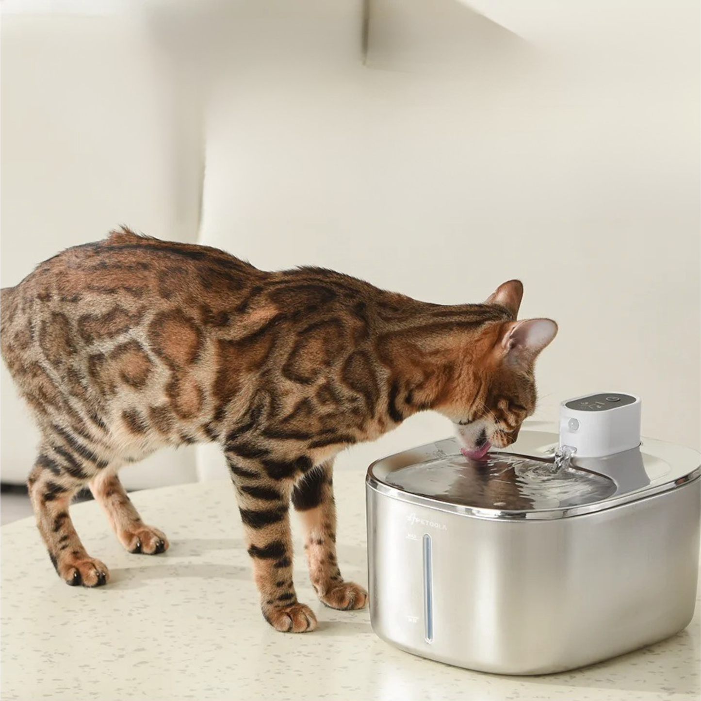fontaine à eau chat sans fil en acier inoxydable 4L