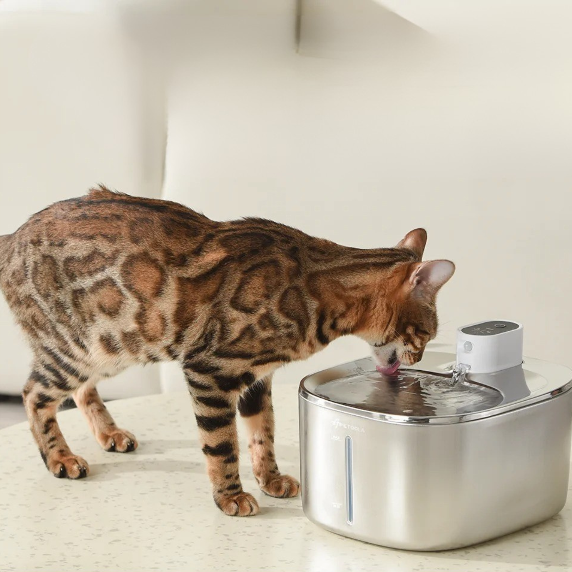 fontaine à eau chat sans fil en acier inoxydable 4L