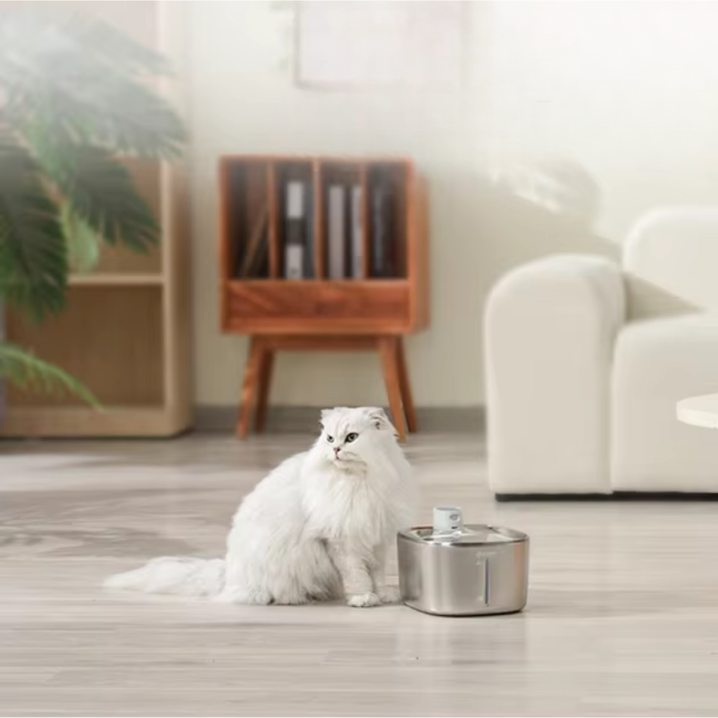 fontaine à eau chat sans fil en acier inoxydable détecteur de mouvement