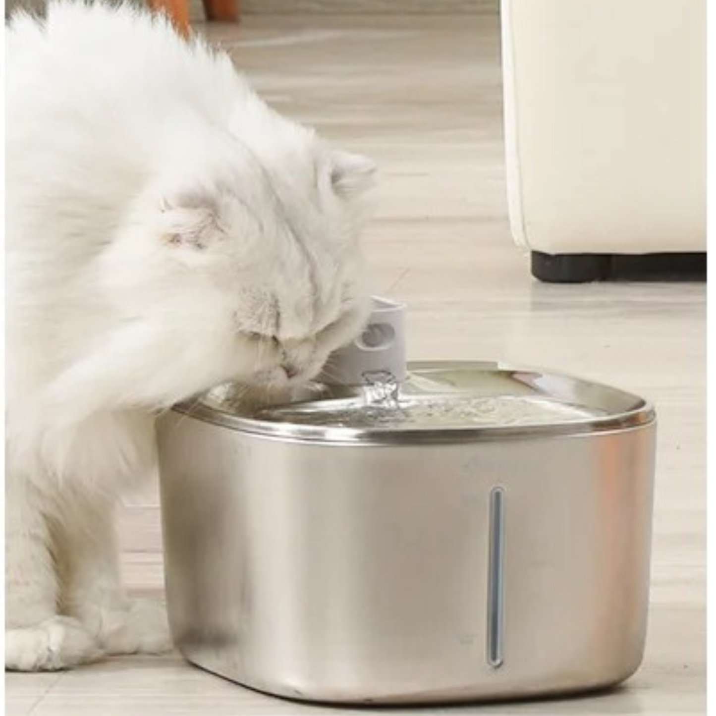fontaine à eau chat sans fil en acier inoxydable silencieuse