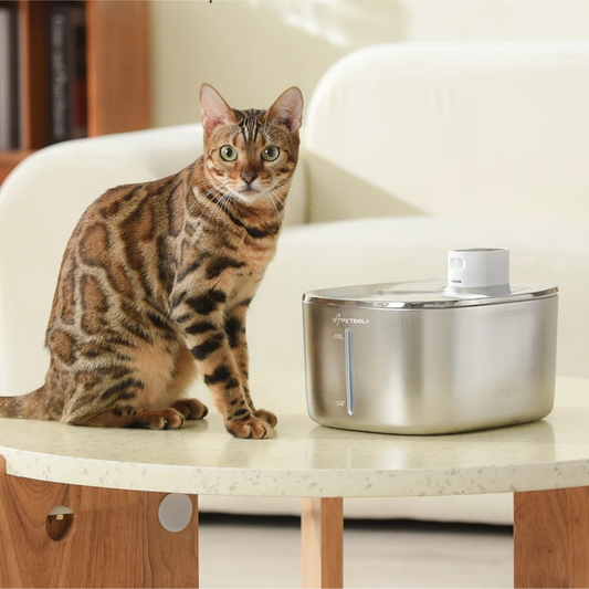 fontaine à eau chat sans fil en acier inoxydable