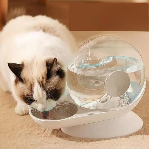fontaine à eau chat sans fil grise