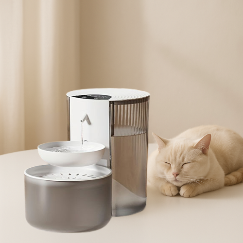 fontaine à eau chat sans fil rechargeable silencieuse