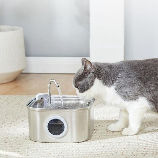 fontaine à eau chat silencieuse 3L