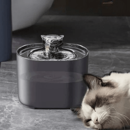 FONTAINE À EAU CHAT | SILENCIEUSE - Leschamour