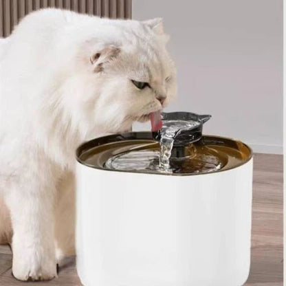 FONTAINE À EAU CHAT | SILENCIEUSE - Leschamour
