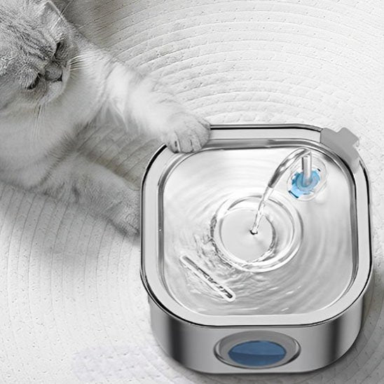 fontaine à eau chat silencieuse acier inoxydable