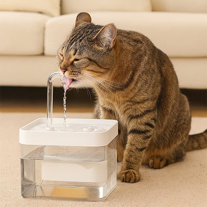 fontaine-a-eau-chat-transparente-1.5L-blanche