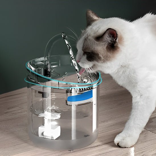 FONTAINE A EAU POUR CHAT | A CAPTEUR DE MOUVEMENT - Leschamour