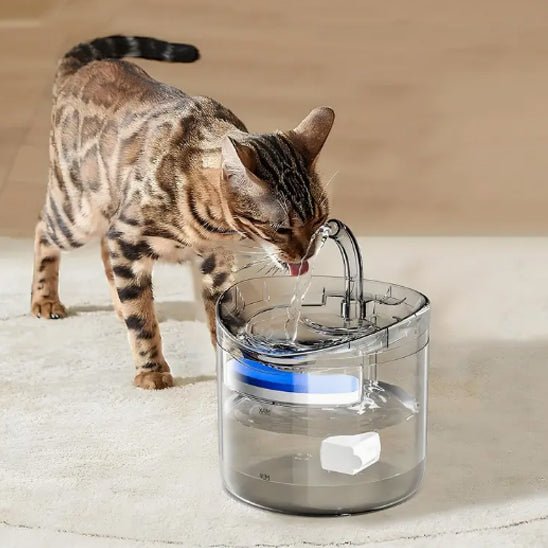 FONTAINE A EAU POUR CHAT | A CAPTEUR DE MOUVEMENT - Leschamour