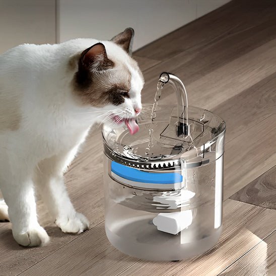 FONTAINE A EAU POUR CHAT | A CAPTEUR DE MOUVEMENT - Leschamour