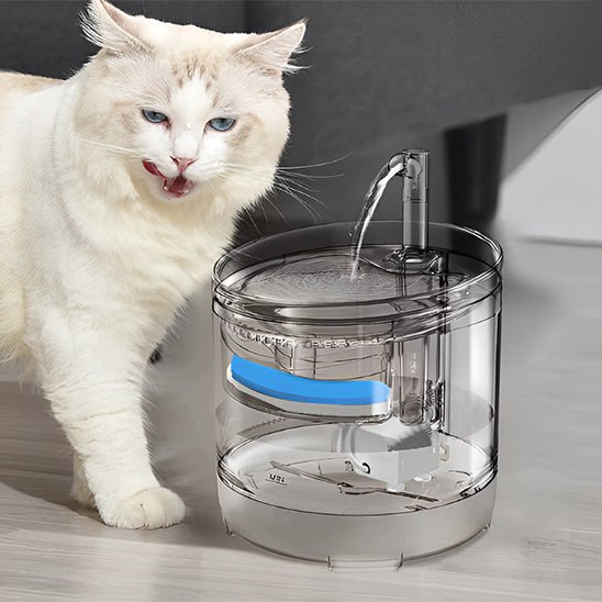 FONTAINE A EAU POUR CHAT | A CAPTEUR DE MOUVEMENT - Leschamour