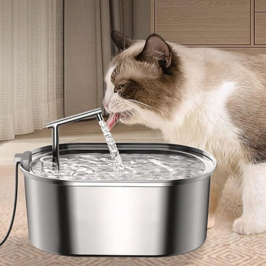 FONTAINE A EAU POUR CHAT | EN ACIER INOXYDABLE - Leschamour