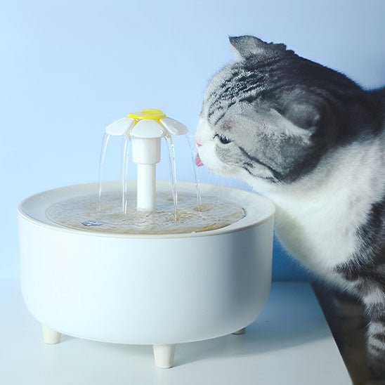 FONTAINE A EAU POUR CHAT | FLEUR - Leschamour