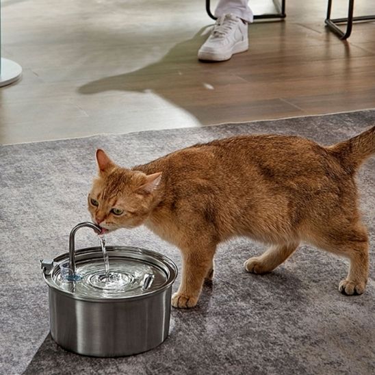 FONTAINE A EAU POUR CHAT | RONDE - Leschamour