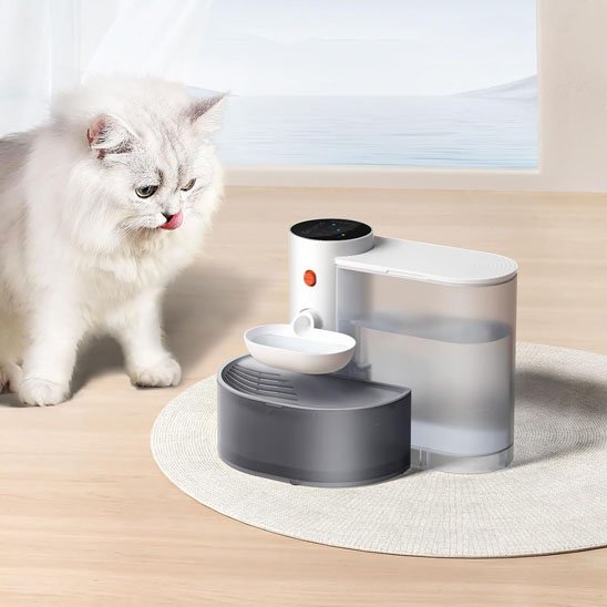 Fontaine à eau pour chat sans fil rechargeable