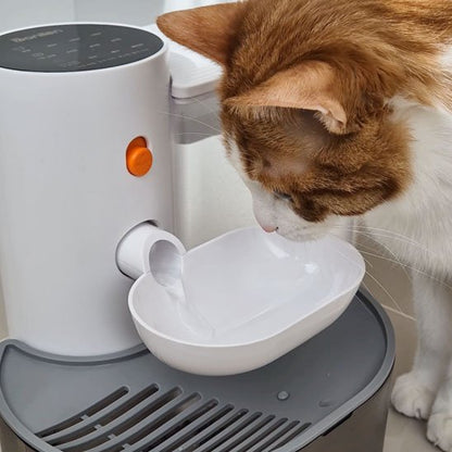 Fontaine à eau pour chat sans fil sans filtre