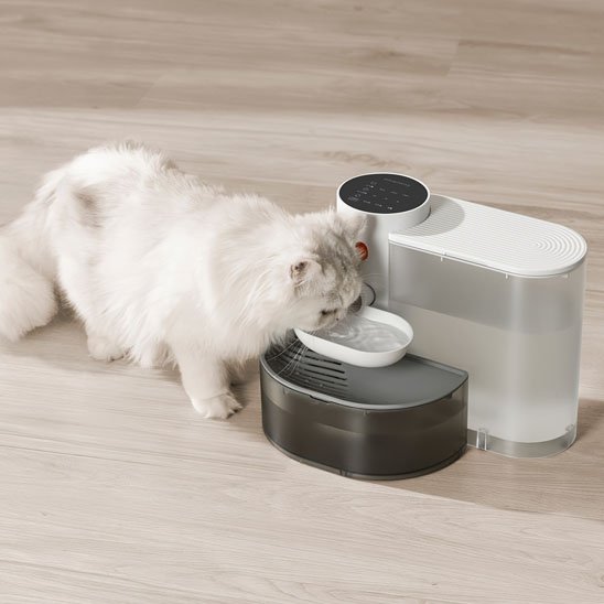 Fontaine à eau pour chat sans fil silencieuse