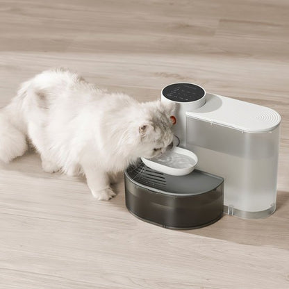 Fontaine à eau pour chat sans fil silencieuse